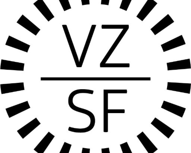 VZ Logo